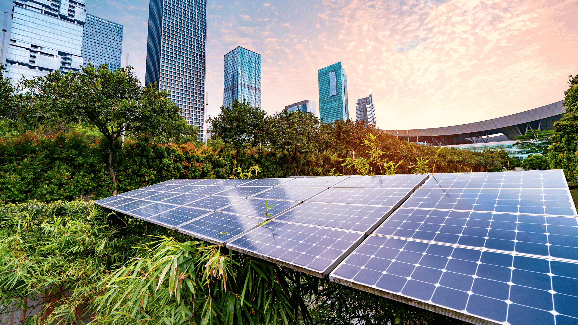 Panneaux solaires au premier plan avec une ville moderne et de la végétation en arrière-plan